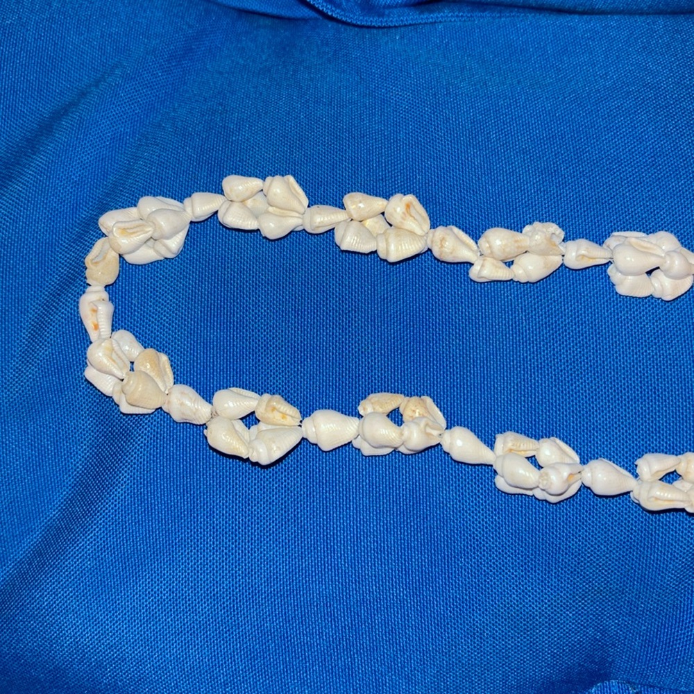 Sea Shell Necklace Colored White Gently Worn NWOTS - Picture 4 of 5